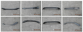 Ford Truck CAB FLOOR CROSSMEMBER,REAR 67-72 (CAB FLOOR SUPPORT BRACE)(STEEL)(PTD-BLACK)